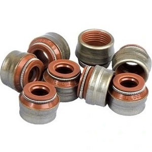 کاسه نمد ساق سوپاپ ریو الدورا بسته 16 عددی